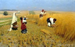 Skördesamling i Ukraina