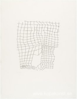 Reticularia