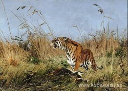 Tigern