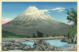 Fujifloden