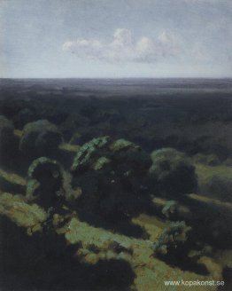 Skogsvidd