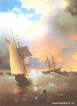 Segelfartyg