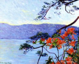 Suruga Bay, Azaleor