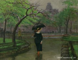 Vårregn, New York