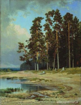 Skog