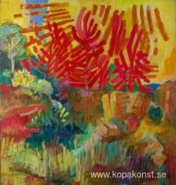 Tallar och stenar i kvällsljus