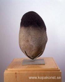 Namnlös (Rock Head)