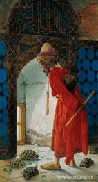 Sköldpaddstränaren