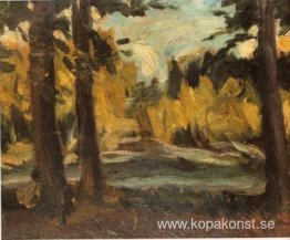 Landskap
