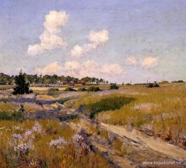Eftermiddagsskuggor