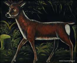 Rådjursfawn