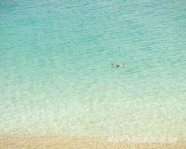 Snorkelare (Efter Misrach), Maui, Hawaii