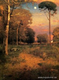 Early Moonrise, Florida