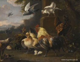 En örn, en tupp, höns, en duva på flykt och andra fåglar