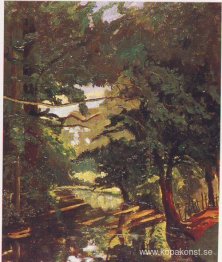 Wooded Water nära Blenheim