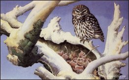 Uggla på en snöig trädstam