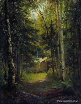 Hydda i skogen