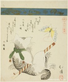 Katt som leker med en leksaksfjäril