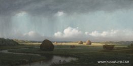 Plötsliga regnskurar, Newbury Marshes