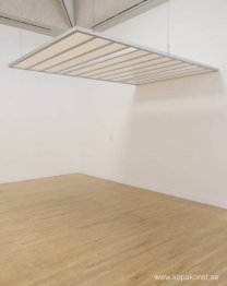 Stor konferensplattform