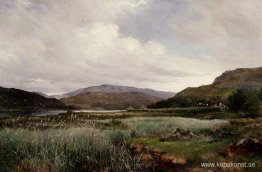 Ett flodlandskap med vass, arthog