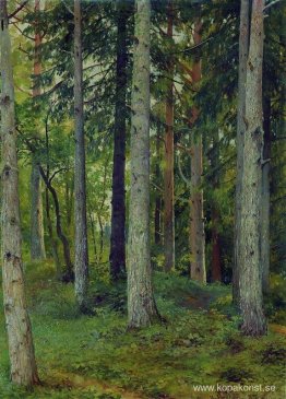 Skog