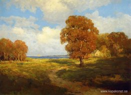Glimt av havet, Long Island