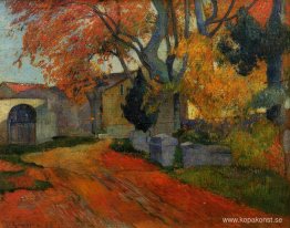 Lane at alchamps, Arles