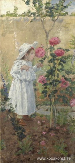 Liten flicka bland rosorna