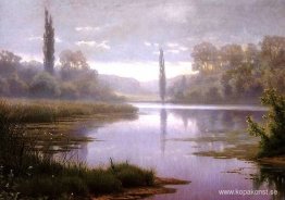 Spindelnät morgon