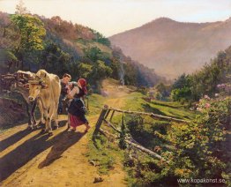 Rosornas tid