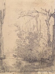 Överhängande buskar i ett dike