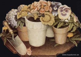 Odling av blomma