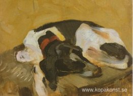 Hund