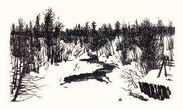 Fjädra. Snö.