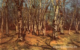 Bokskogen