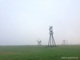 Crissy Field