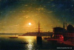 The Bay Golden Horn