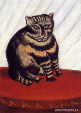 Tabbyn