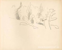 Monhegan (studie)