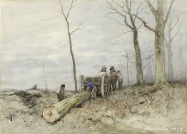 De modellerna
