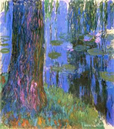 Weeping Willow och Water-Lily Pond