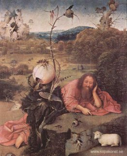 Johannes Döparen i Meditation