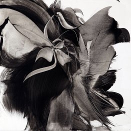 Namnlös (från Collection Resonance)
