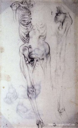 Anatomisk studie