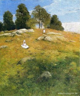 Sommareftermiddag, Shinnecock-landskap