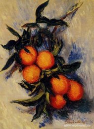 Gren av apelsin som bär frukt