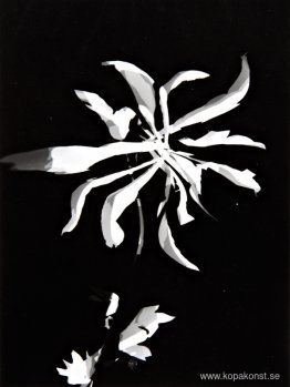 Ändra mönster Ändra mönster