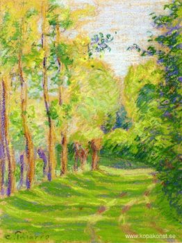 Landskap på Saint Charles Landskap på Saint Charles