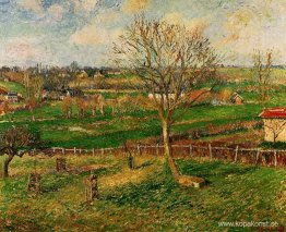 Landskap, fält, Eragny Landskap, fält, Eragny